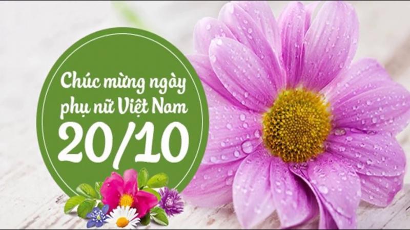 Lời chúc 20/10 cho cô giáo chủ nhiệm hay và ý nghĩa nhất