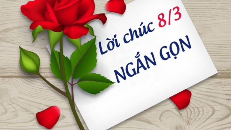 Lời chúc 8/3 hay, ý nghĩa và ngắn gọn dành tặng người yêu