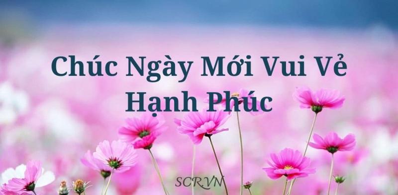 Lời chúc số 14