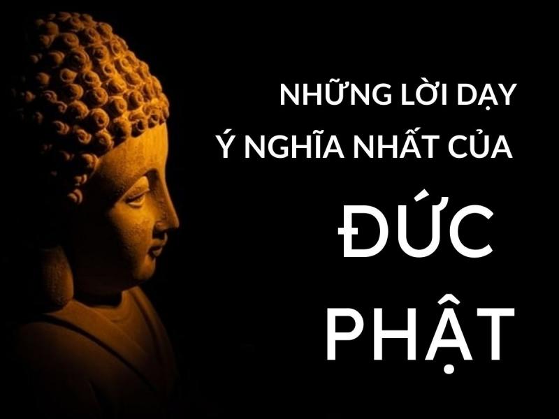 Lời dạy của Đức Phật về cuộc sống luôn là nguồn cảm hứng và lý tưởng cho hành trình tìm hiểu và cống hiến cho cuộc đời. Những điều nhẹ nhàng, giản dị nhưng đầy sức mạnh và ý nghĩa sẽ giúp bạn trọng đạo và sống đạo hơn trong cuộc sống đầy những thử thách.