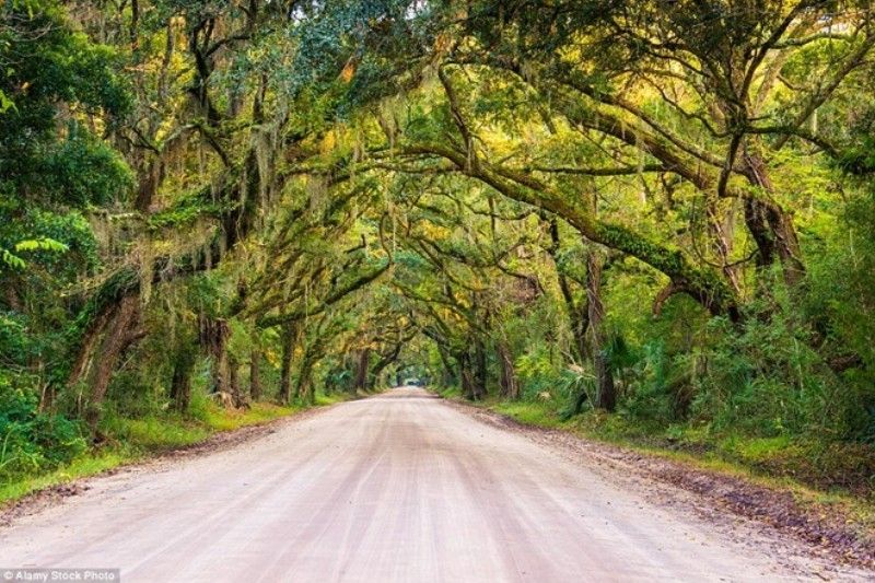 Lối vào đồn điền Botany Bay, nam Carolina, Mỹ