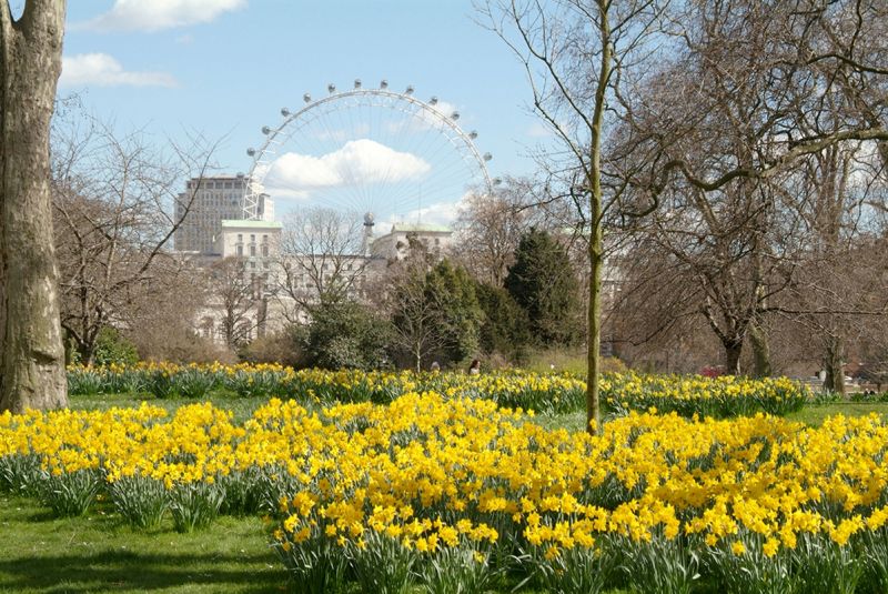Một góc công viên tràn ngập hoa với tầm nhìn hướng tới vòng quay Thiên niên kỷ