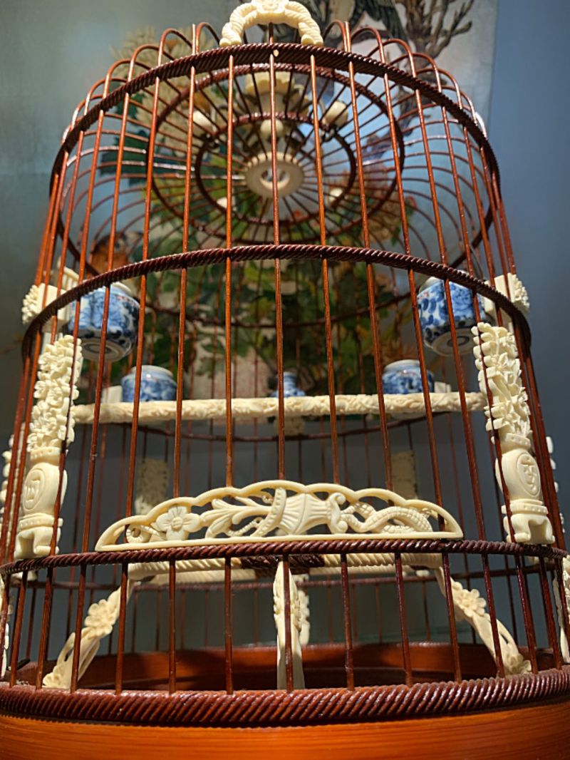 Lồng Chim Hoàng Kim