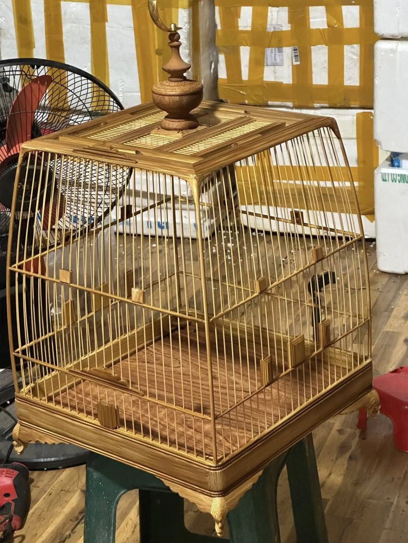 Lồng Chim Nguyễn Thiên