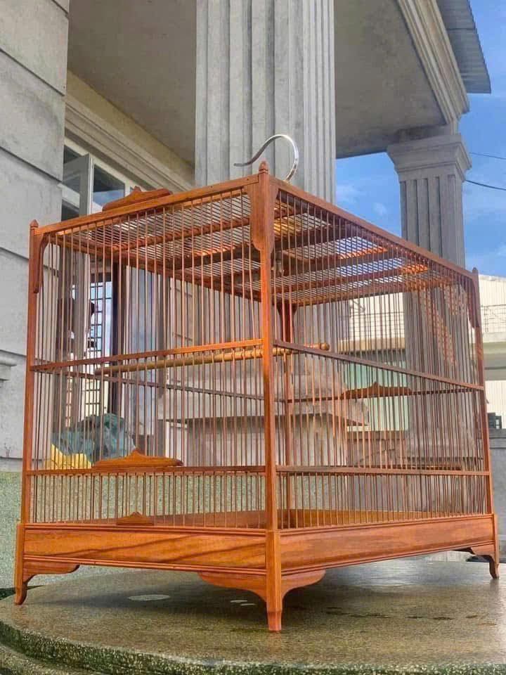 Lồng Chim Thạch Huế