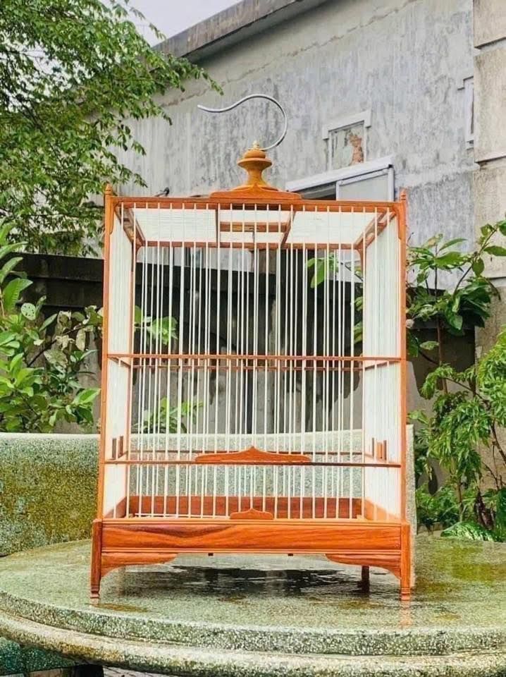 Lồng Chim Thạch Huế