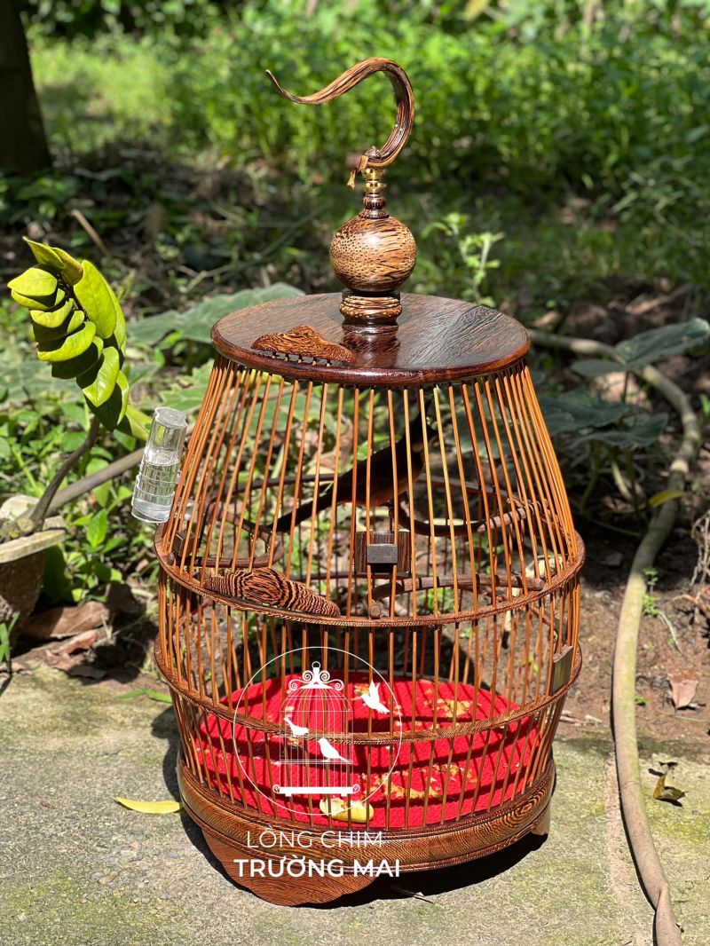 Lồng chim Trường Mai