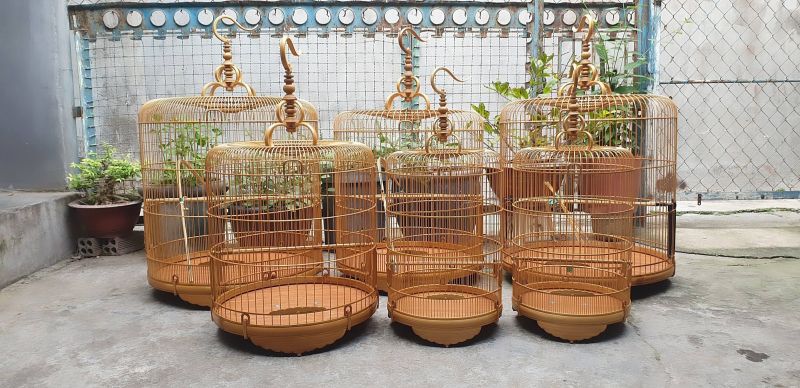 Lồng chim Vũ Lập