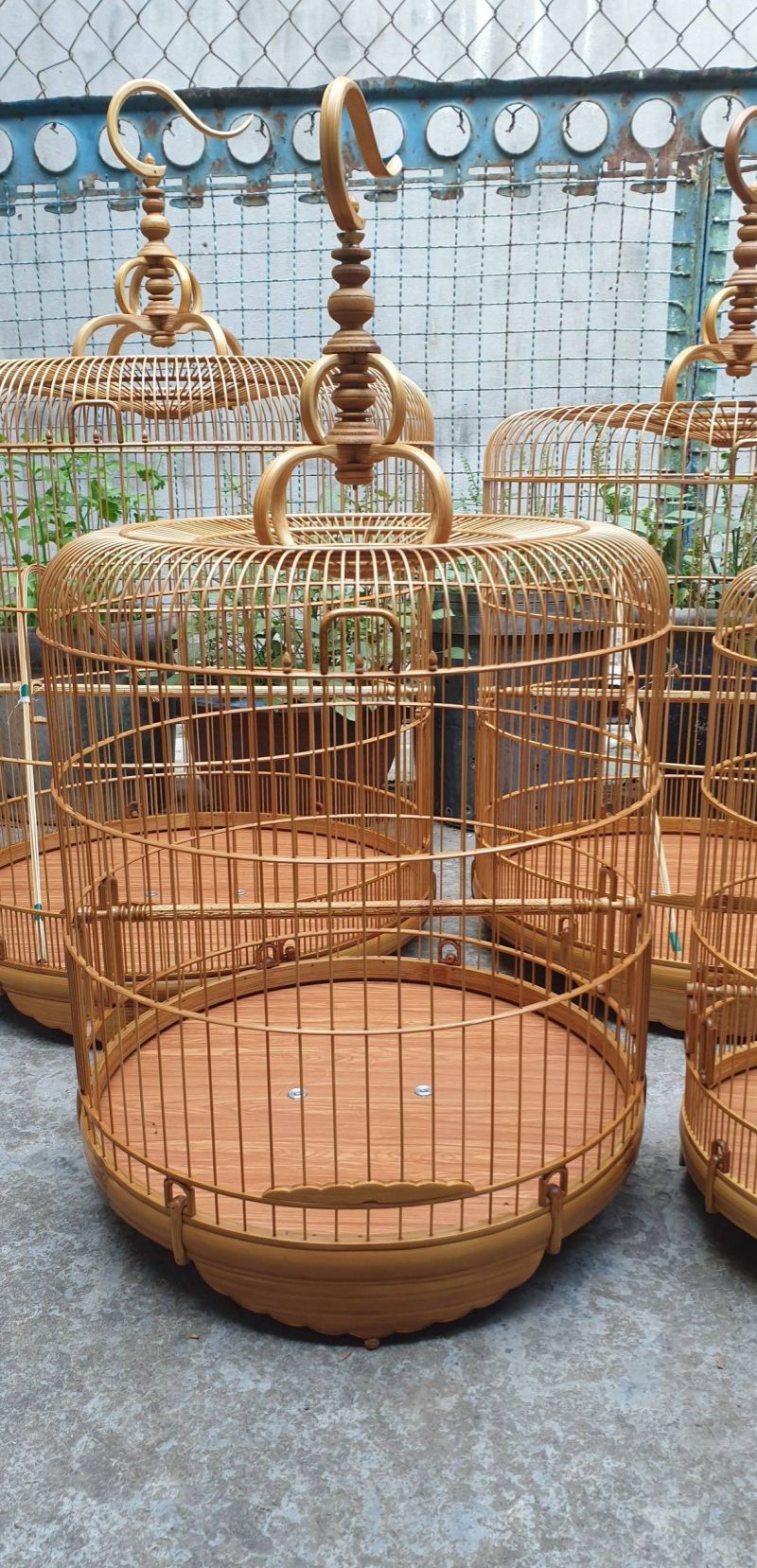 Lồng chim Vũ Lập