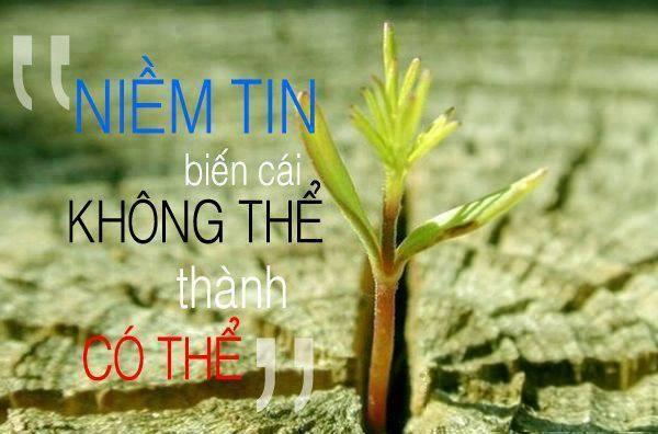 Tin tưởng lẫn nhau