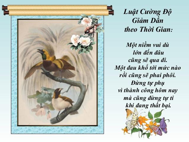 Luật cường độ giảm dần theo thời gian