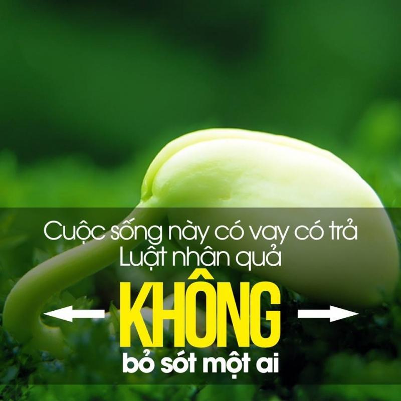 Luật nhân quả