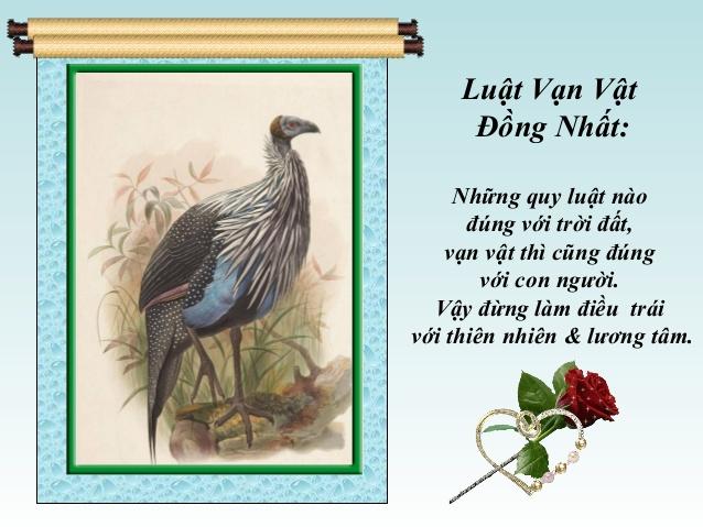 Luật vạn vật đồng nhất