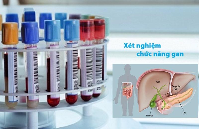 Cần làm xét nghiệm enzym gan trước khi bắt đầu điều trị bằng Rosuvastatin