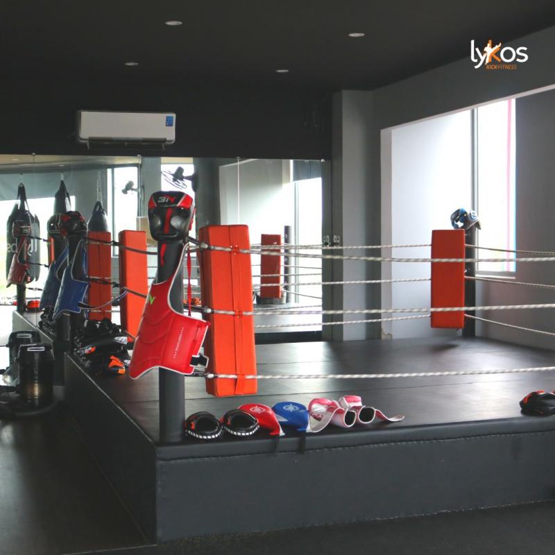 LYKOS KickFitness