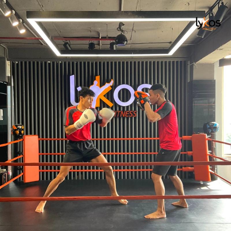 LYKOS KickFitness