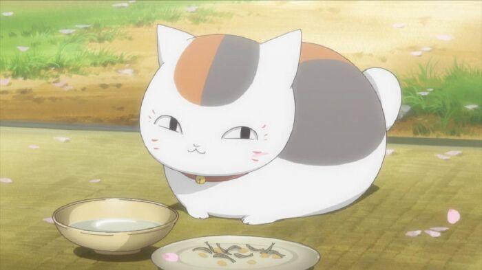 Madara (Natsume’s book of friends)