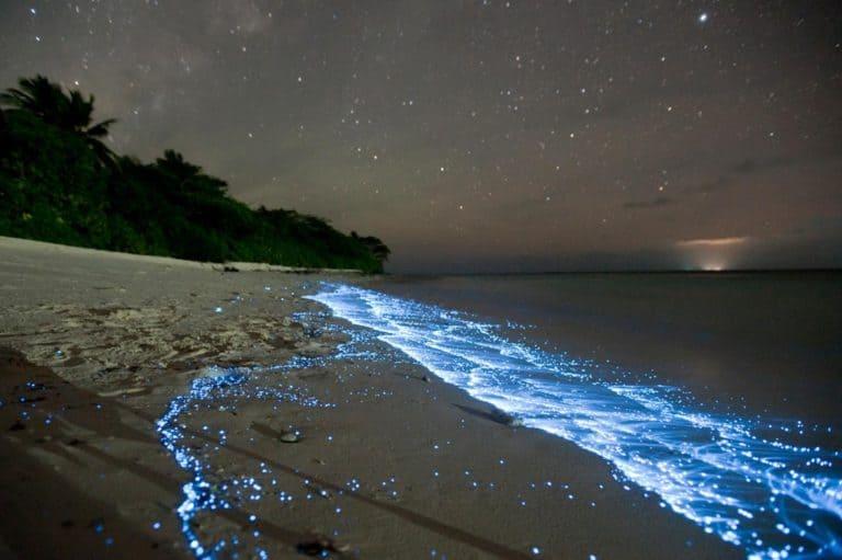 Bãi biển phát sáng trong đêm tại Maldives