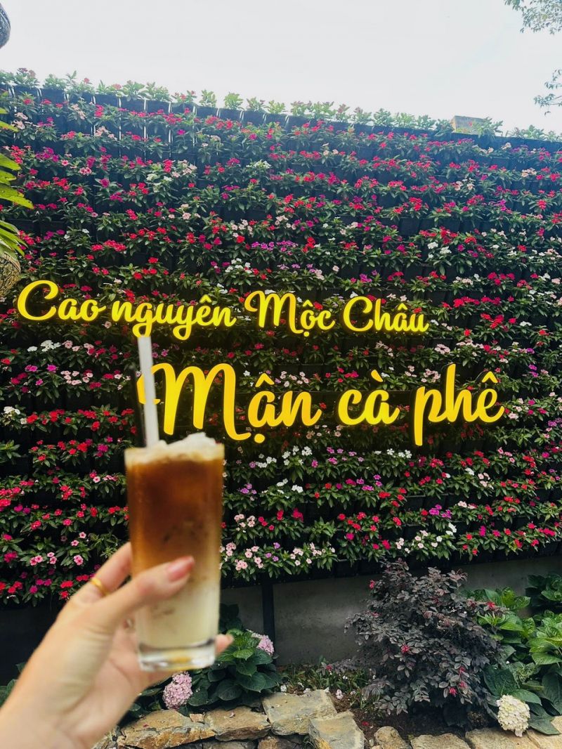 Mận cà phê