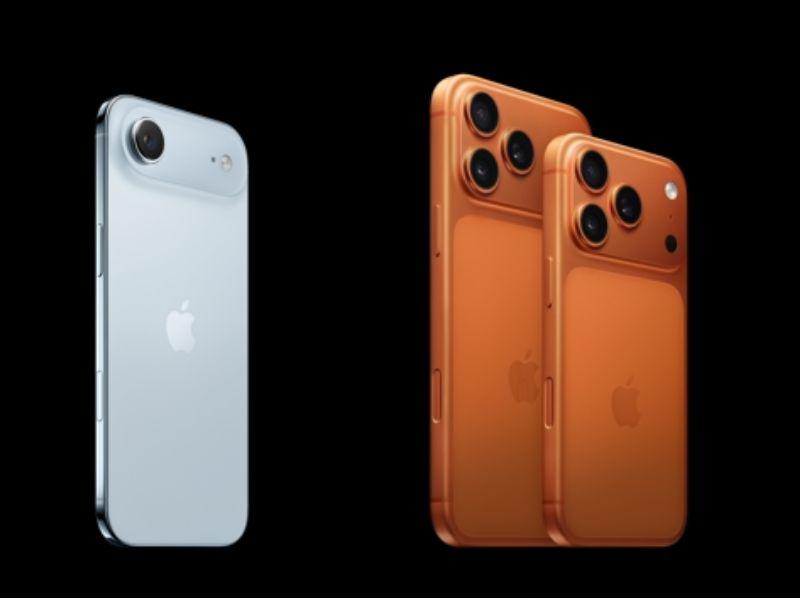 Ảnh minh hoạ (Nguồn internet)