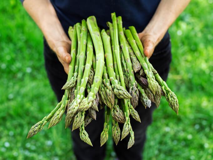 Măng tây tốt cho mẹ bầu