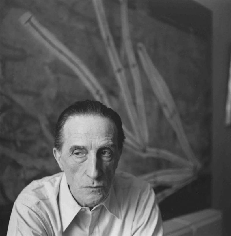 Họa sĩ Marcel Duchamp