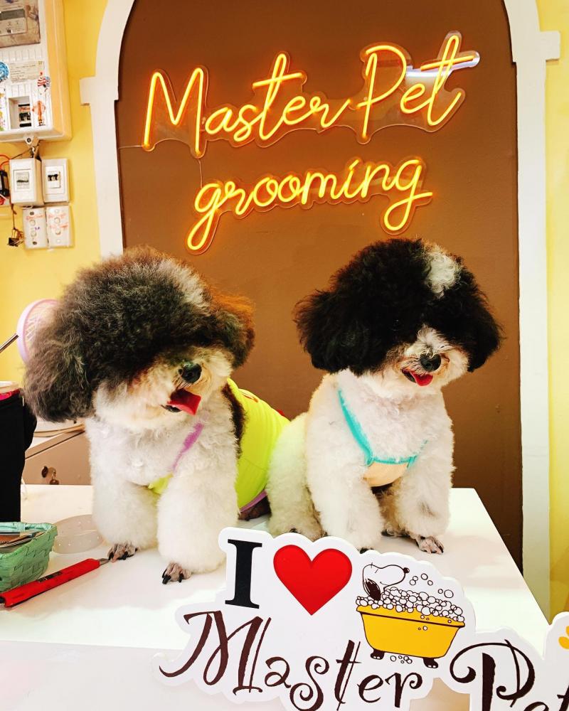 Master Pet Grooming Spa
