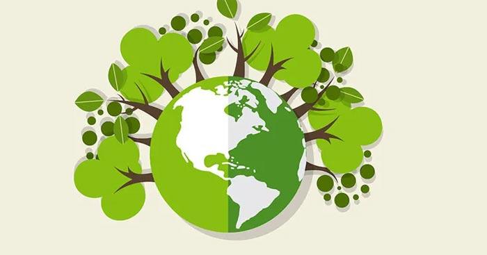 Mẫu kế hoạch cá nhân về học tập và làm theo tư tưởng, tấm gương đạo đức, phong cách Hồ Chí Minh - số 1