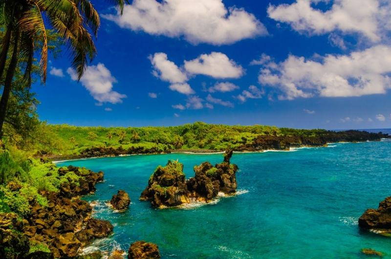 Maui là một trong những hòn đảo có sự đa dạng sinh thái nhất thuộc quần đảo Hawaii