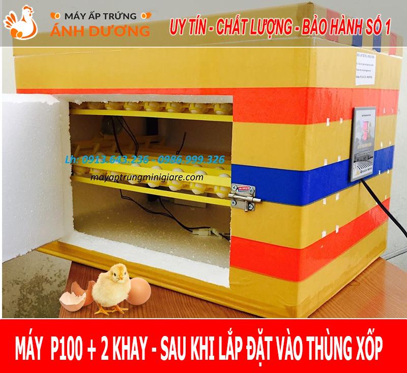 Máy Ấp Trứng Ánh Dương