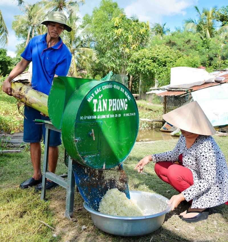 Máy cắt chuối đa năng