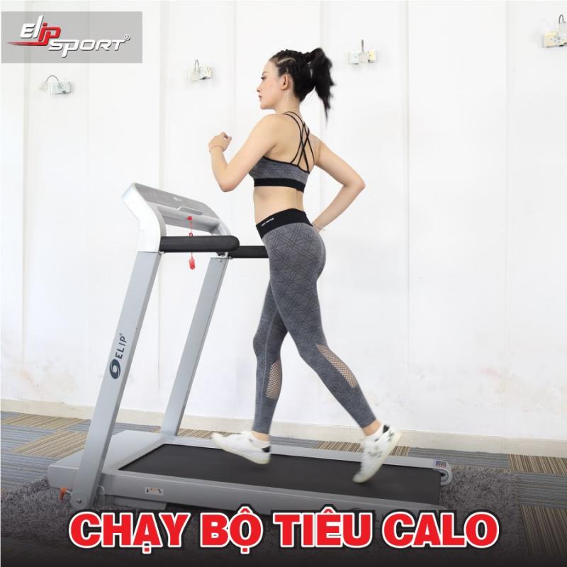 Máy chạy bộ Elipsport