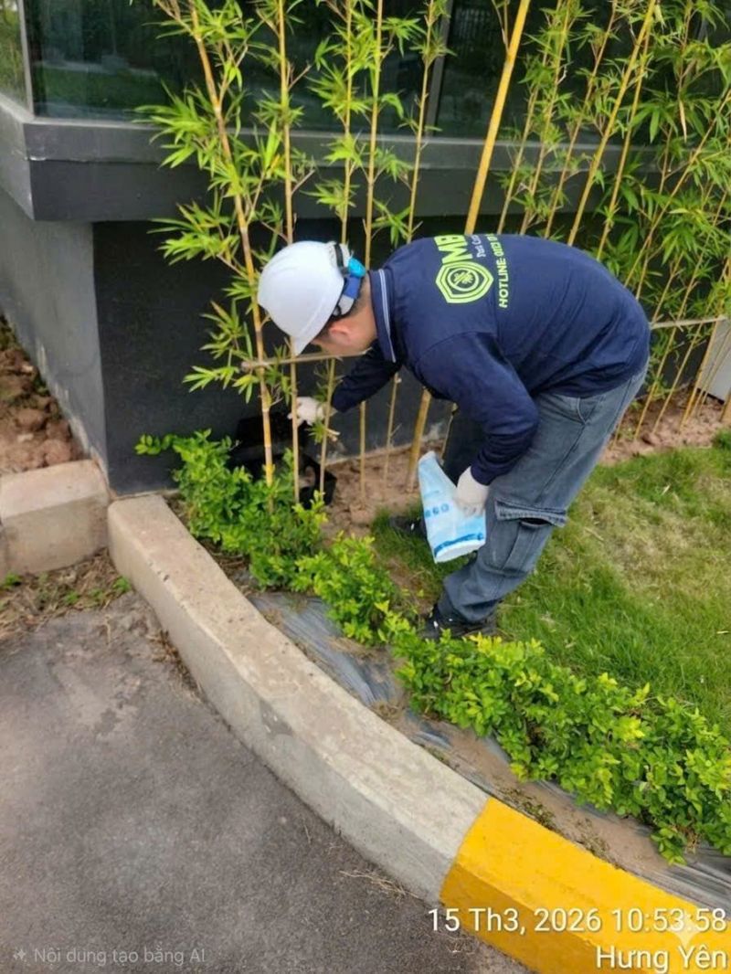 MB Pest Control