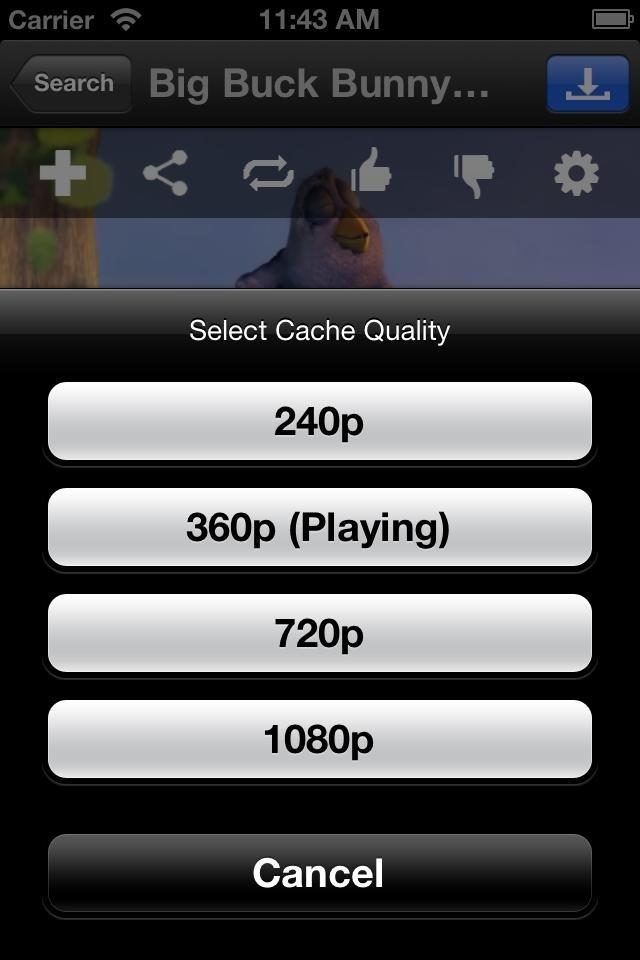 Người dùng có thể lựa chọn chất lượng của video trước khi tải