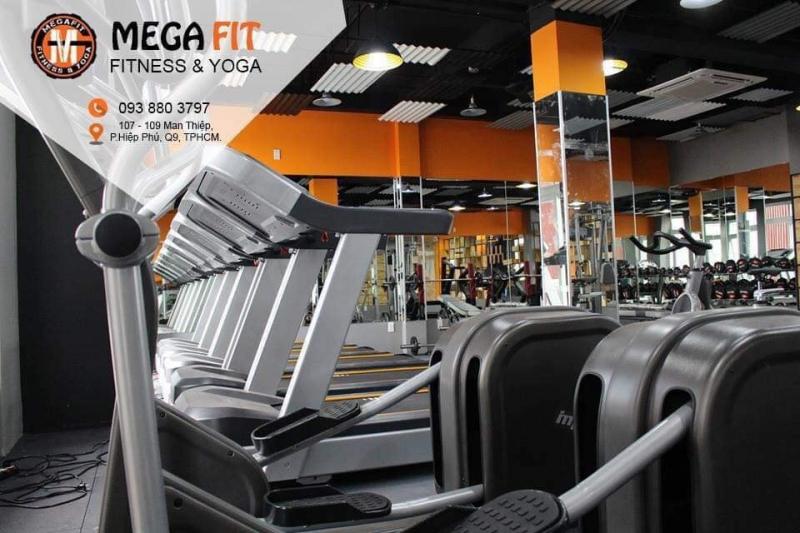 MegaFit Fitness & Yoga