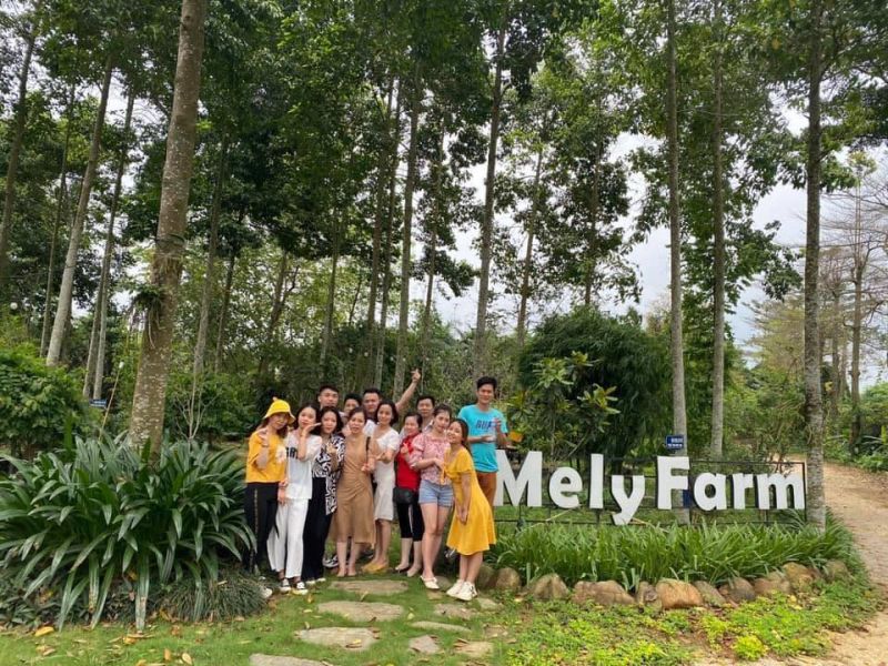 Mely Farm