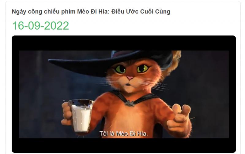 Mèo Đi Hia 2