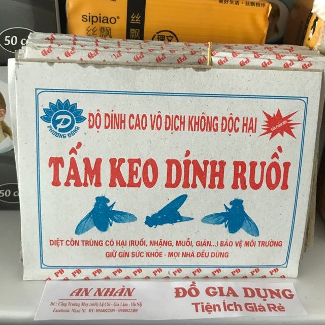 Mẹo diệt ruồi hiệu quả tại nhà bằng keo dính ruồi