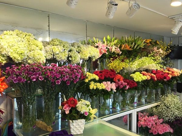 Mở cửa hàng bán hoa
