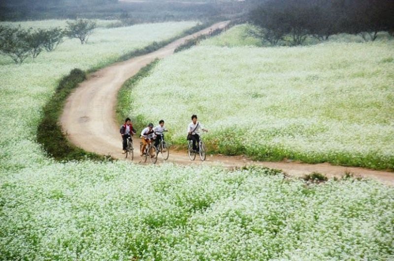 Không khí nơi đây cho ta cảm giác rất thư thái và bình yên