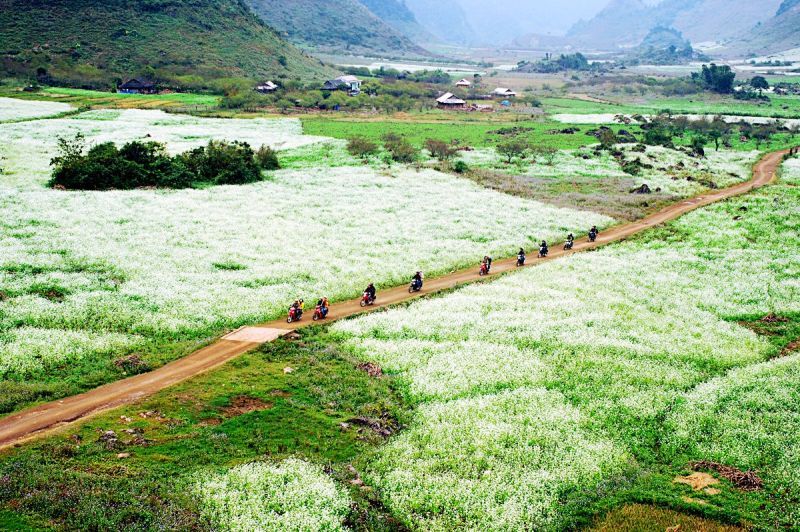 Mộc Châu tháng 10