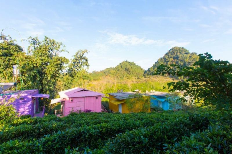 Mộc Châu Arena Village