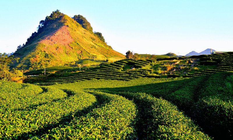 Mộc Châu - Sơn La