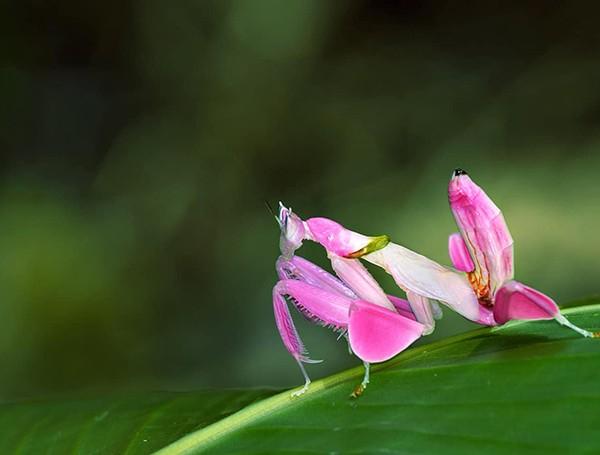 Môi trường sống