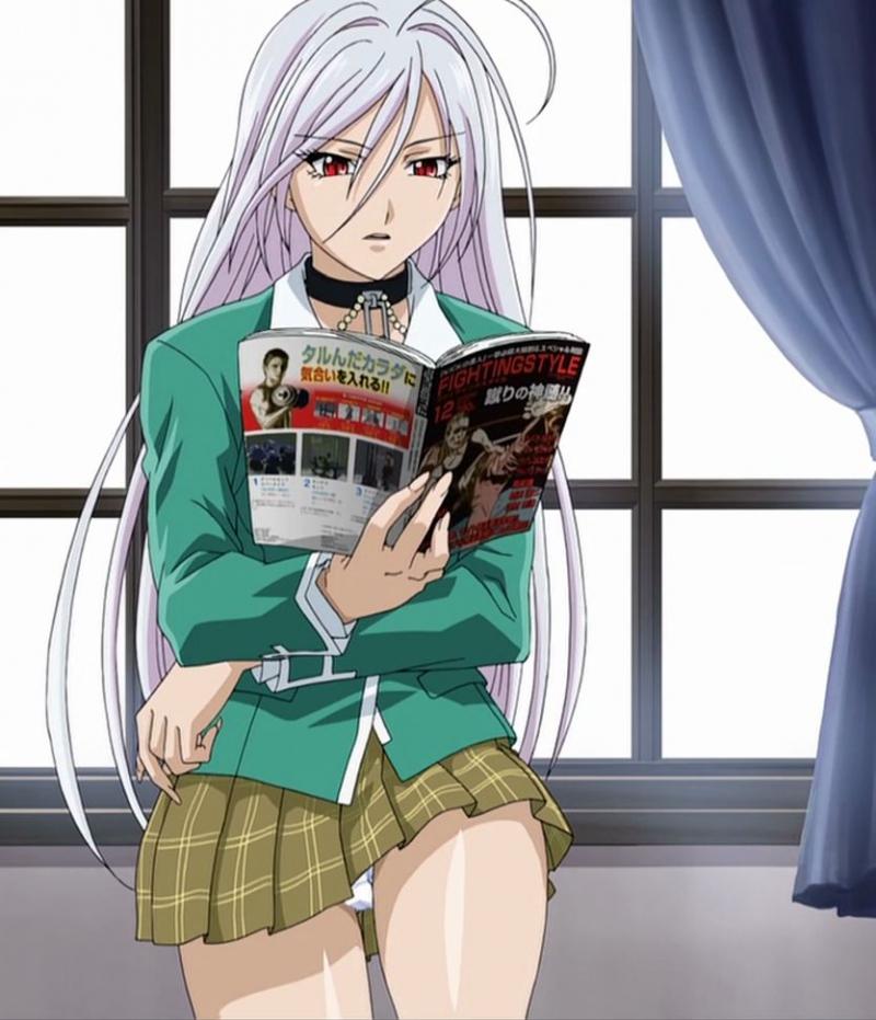 where does rosario vampire anime end in the manga