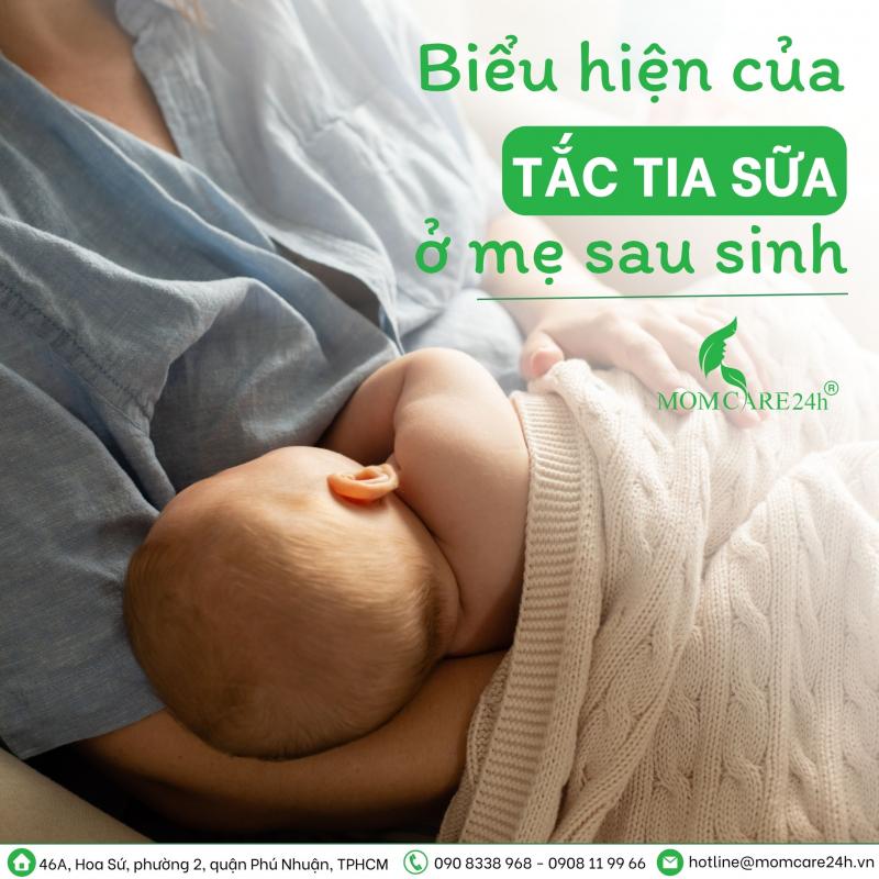 MomCare 24h