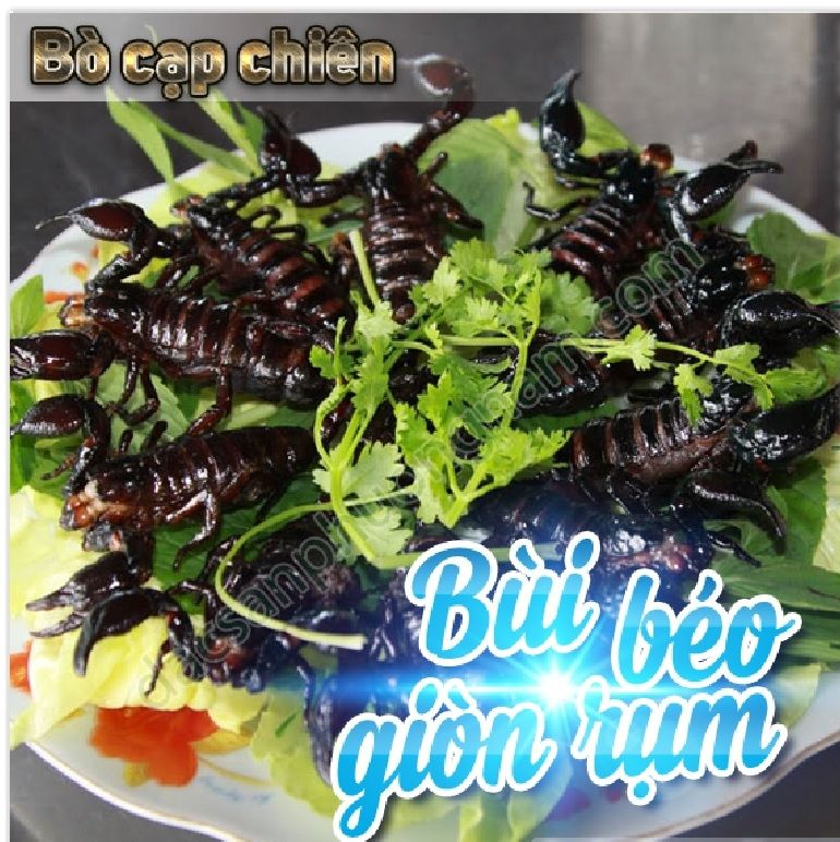 Bọ cạp