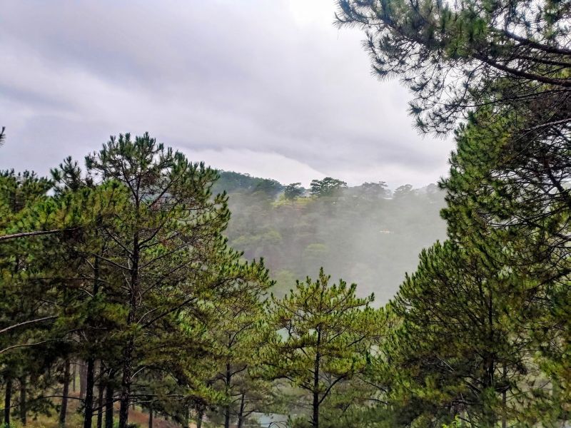 Moonrise Garden Dalat