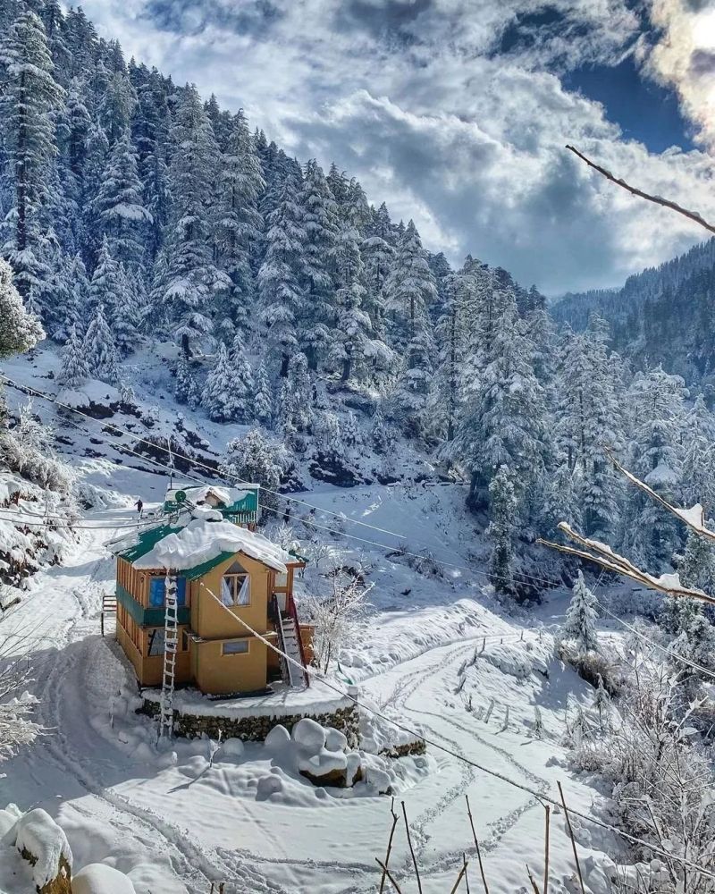 Mountain Breeze Homestay, Jibhi- Himachal