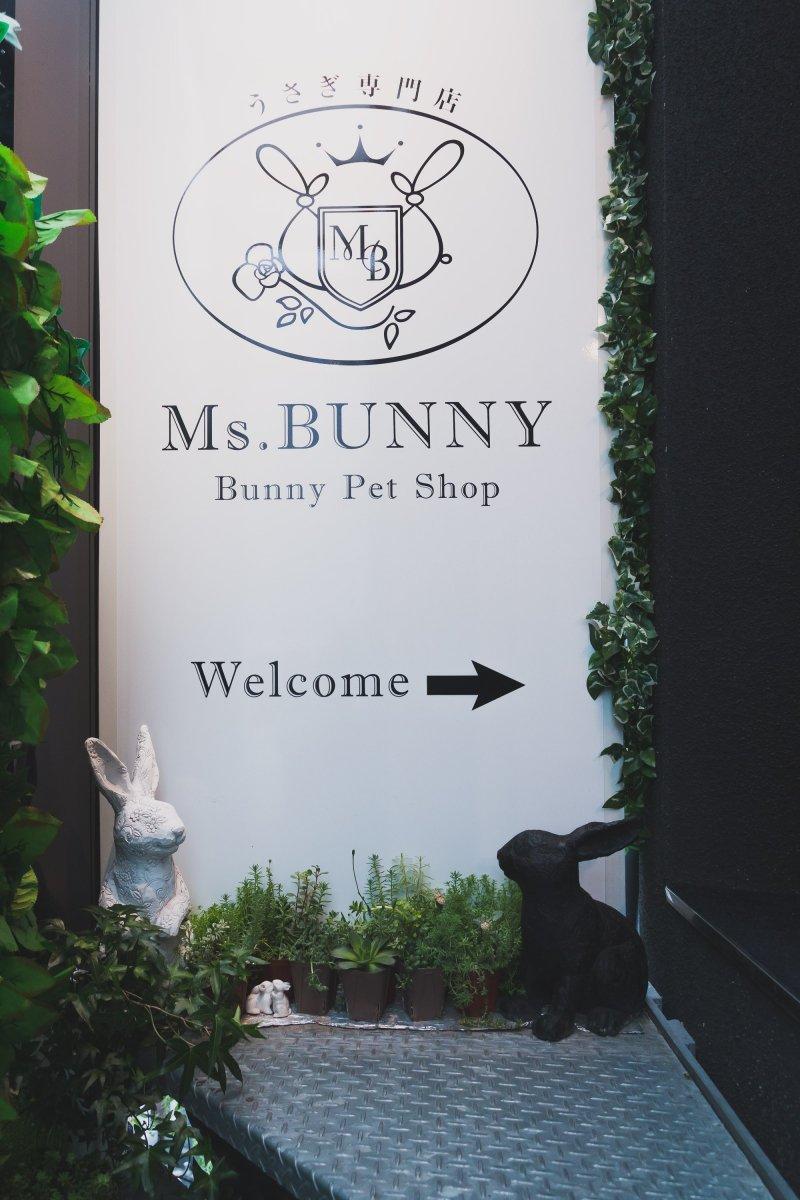 Ms Bunny, Roppongi